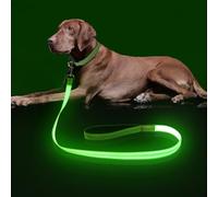 Colaseeme LED Dog Lead Light Up - 4 Feet, Micro USB Rechargeable, Nylon Webbing Glow Safety Standard Dog Leash (Green, 120 cm)