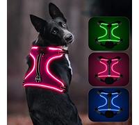 Colaseeme Rechargeable LED Dog Harness with Adjustable Handle | Light Up Glow in the Dark Vest for Small to X-Large Breeds | Size M, Pink