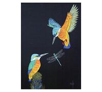 Colcards Kingfishers by Helen M. Stevens ~ Blank Birthday All Occasions Art Greeting Card, FR44