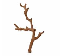 Colcolo Bird Cage Stand Natural Perch Branch Rest Sturdy Construction With Screw Mount Promotes Foot Exercise and Beak Care suitable for parrots canaries, Screw fixed type, Medium (30-50cm)