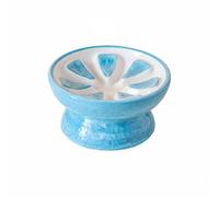Colcolo Ceramic Cat Bowl Tilted Porcelain Pet Food Slow Feeder Wide Reduces Black Chin Suitable for Cats Eating at Home, Sky Blue