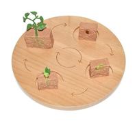 Colcolo Early Education Life Cycle Board | Hands-on, Life Cycle Learning Toy Set, Interactive, for Classroom, Style E