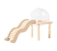 Colcolo Hamster Sand Bath Container and Wood Base, Transparent Glass Sand Bath for Lemming Mice, S