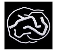 Cold Air Intake Pipe For Focus RS Mk2 2009 2010 2011 Pressure Temperature Silicone Radiator Coolant Hose Tube Pipe Kit Car Air Duct(White)