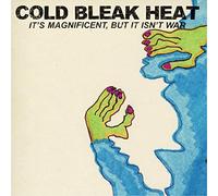 Cold Bleak Heat - It's Magnificent, But It Isn't War