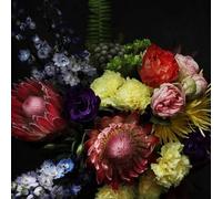 Cold Cave – Fate in Seven Lessons – Neon Violet Glitter Vinyl LP (Reissue)