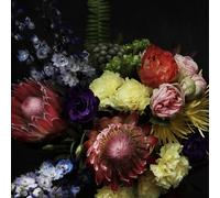 Cold Cave Fate in Seven Lessons (Vinyl) (US IMPORT)