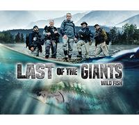 Cold Mountain Titans: Part One