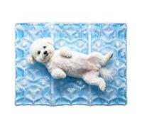Cold Pad Long-Lasting Reusable