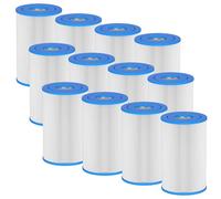 Cold Plunge Filter 20 Micron 5" x 2.5" Water Filter Replacement Cartridge Compatible with Any Cold Plunge System Ice Pod Ice Bath Filter (12-Pack)