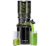 Cold Press Juicer
