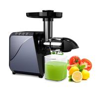 Cold Press Juicer, 250W Electric Juice Extractor with 2 Speed Modes, 1300ml Juice Cup, 1100ml Pomace Cup and Reverse Function, Easy to Clean