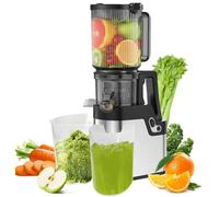 Cold Press Juicer Machine, 250W Slow Masticating Juicer with 4.2" Wide Feed Chute, for Whole Fruits and Vegetables, High Juice Yield, Quiet Motor, Easy to Clean, Silver