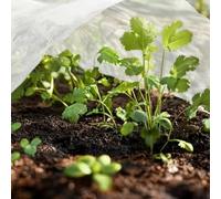 Cold Proof Non Woven Fabric for Plant For Protection with Frost Resistance and Tear Resistant Durability for Winter Garden and Balcony Use (3 * 10m White)