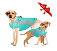 Cold Weather Dog Coat and Summer Cooling Vest Multifunctional Dog Jacket with Reflective Stripes and Double Zipper, Windproof and Warm Coat in Winter, Soaked for Cooling Vest in Summer, M