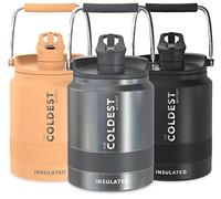 COLDEST Sports Water Bottle Half Gallon (Straw Lid), Leak Proof, Vacuum Insulated Stainless Steel, Hot Cold, Double Walled, Metal Canteen Growler Jug (Stardust Glitter, Half Gallon)