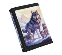 Coldinair Trifold Boys Wallet for Kids 9-12 Canvas Wallet Coin Bag Purse Handbag for Boy for Kids 6-8 9-12 8-10 Novelty Wallet, Wolf, One Size, Modern