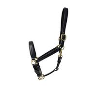 Coldstream Leather Padded Head Collar Black (Pony)