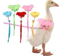 Cole Duck Harness and Leash Cute Wings Adjustable Outdoor Walking Control Traction Rope for Chicken Goose Hen Rabbit (M,Blue)