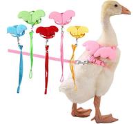 Cole Duck Harness Leash Set Cute Little Angel Wing Vest Adjustable Outdoor Walking Traction Rope for Chicken Goose Hen (XS,Blue)