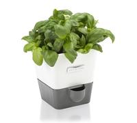 Cole & Mason Burwell Self-Watering Potted Herb Saver, Windowsill Herb Planter Indoor/Herb Box/Indoor Herb Garden, Single, Suitable for 1 pot (85 mm), Includes 4 x Pads, White/Grey