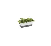 Cole & Mason Burwell Self-Watering Potted Herb Saver, Windowsill Herb Planter Indoor/Herb Box/Indoor Herb Garden, Triple, Suitable for 3 pots (85 mm)