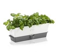 Cole & Mason Self-Watering Herb Keeper, Plastic, White/Grey, 13.8 x 37.1 x 14 cm