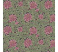 Cole & Son Wallpaper Aurora 116/1002