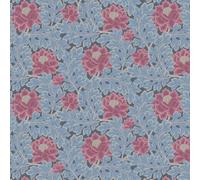 Cole & Son Wallpaper Aurora 116/1004