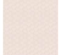 Cole & Son Wallpaper Feather Fan 112/10035