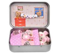 COLEESON 2Pcs Easter Bunny in Tin Box, Easter Basket Stuffers, Mini Plush Bunny-House Small Bunny Plush Toys, Cute Rabbits Easter Gift for Kids Family Friend (B)