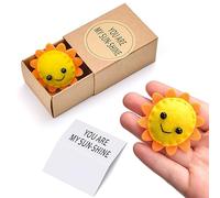 COLEESON Teacher Gifts - You Are My Sunshine Sunflower Gift, Lovely Teacher Appreciation Gifts, Best Teacher Gift for Nursery Teacher, Teaching Assistant