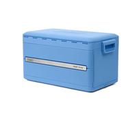 Coleman Snap 'N Go 45QT Collapsible Cooler | Insulated Hard Cooler | 42 L Capacity | Keeps Ice for 2 Days | Removable Inner Liner | Space-Saving Cool Ice Box | Ideal for Picnic, Camping and Travel