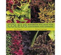Coleus: Rainbow Foliage for Containers and Gardens