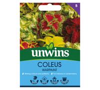 Coleus Warpaint
