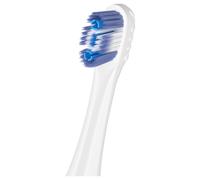 Colgate 360 Sonic Max White Battery Powered Toothbrush