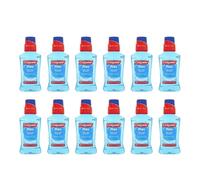 Colgate Plax Cool Mint Mouthwash 250ml - Pack of 12