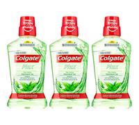 Colgate Plax Tea Fresh Mouthwash 500mL (Pack of 3) | Antibacterial, Alcohol-Free, Long-Lasting Freshness, Germ Protection, Daily Oral Rinse