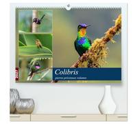 Colibris - pierres précieuses volantes (Calendrier mural haut de gamme 2027 DIN A2 vertical), CALVENDO calendrier mensuel: Les colibris du Costa Rica ... brillants à travers la forêt de nuages.