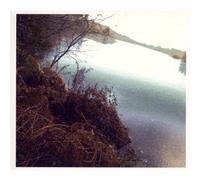 Colin Chloé - Appeaux