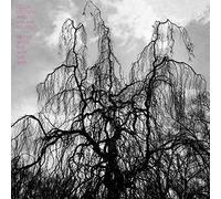 Colin Stetson and Sarah Neufeld - Never Were The Way She Was by Colin Stetson and Sarah Neufeld