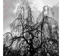 Colin Stetson - Never Were The Way She Was [VINYL]