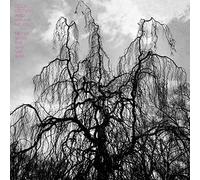 Colin Stetson - Never Were The Way She Was [VINYL]