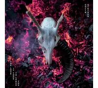 Colin Stetson - The Love It Took to Leave You [Vinyl LP] [VINYL]