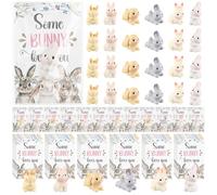 Colingmill 24 Sets Easter Gifts Bulk Bunny Resin Animal Figurines with Some Bunny Loves You Greeting Cards Easter Basket Fillers Party Favors Decorations for Students School Classroom