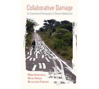 Collaborative Damage: An Experimental Ethnography of Chinese Globalization