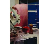 Collage Culture: Readymades, Meaning, and the Age of Consumption: 49 (Postmodern Studies, 49)