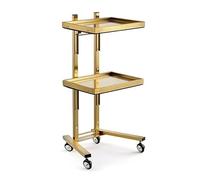 Collapsible Stainless Steel Utility Cart on Wheels, Foldable Rolling Storage Stand for Salon, Spa, Barber, Medical, and Dental Use