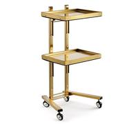Collapsible Stainless Steel Utility Cart with Wheels - 2-Tier Foldable Storage Stand for Salon, Spa, Barber, Tattoo, Medical, Dental Clinics