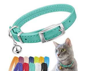 CollarDirect Leather Cat Collar with Removable Bell - Safety Kitten Collar with Elastic Strap (Mint Green, 15-18 cm)
